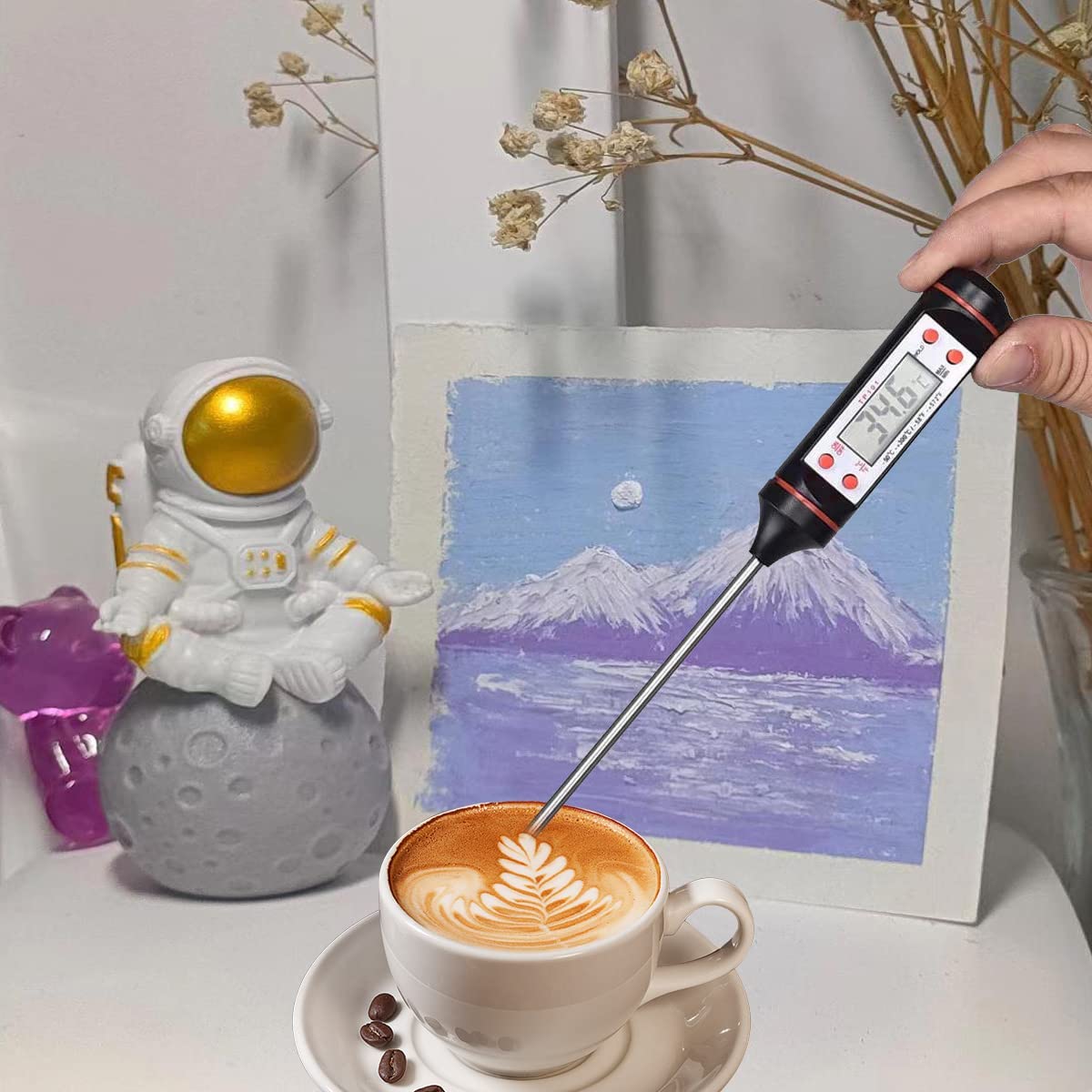 Digital Cooking Thermometer