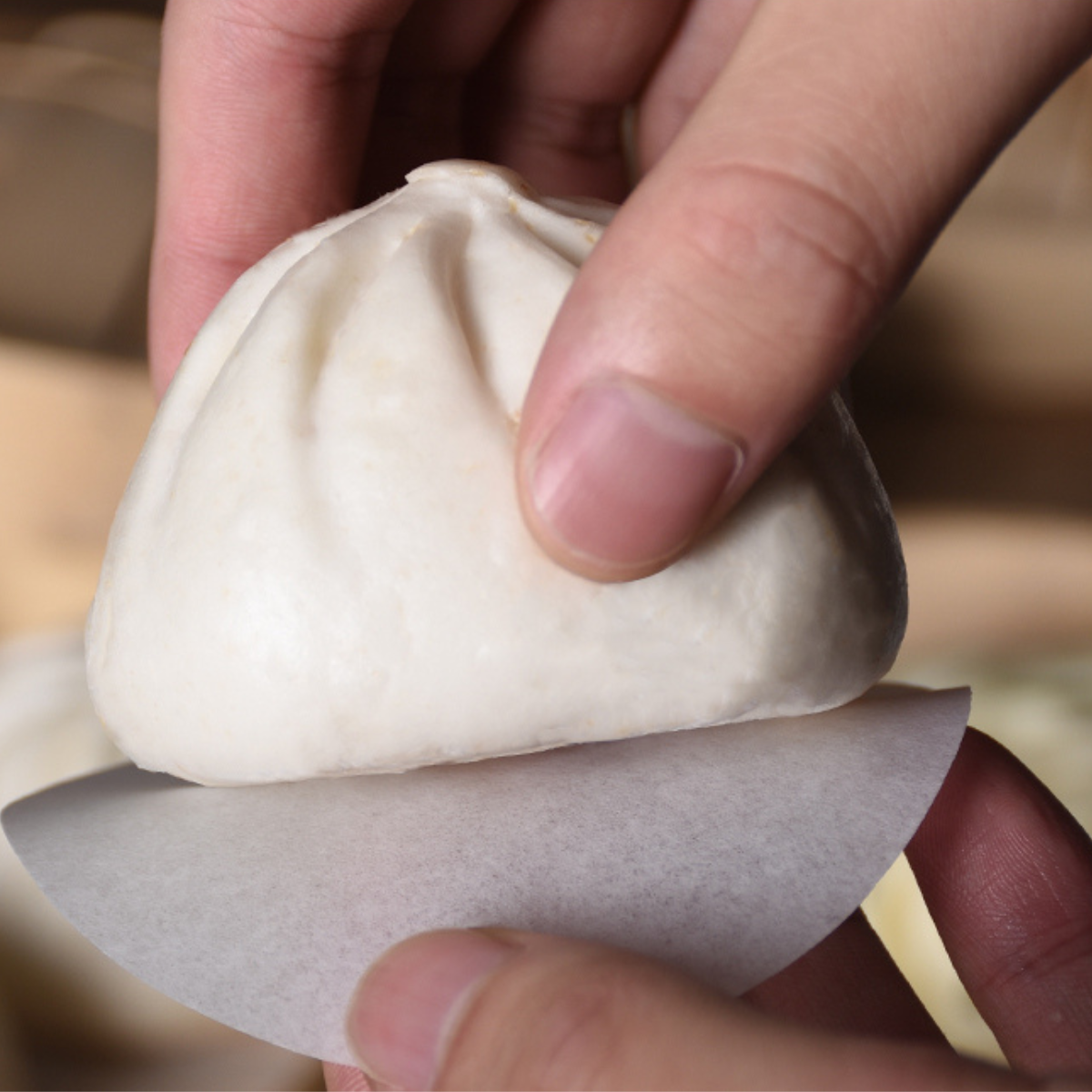 Round and Square Liners for Buns, Dumplings, and Other Dim Sum (500pieces+500 pieces)