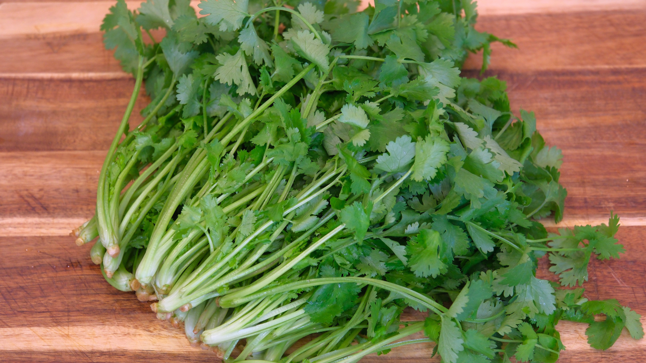 How to Preserve Cilantro (Stays Good for 5 Months)