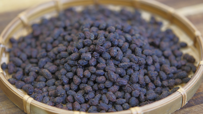 Mucor Powder for Making Fermented Tofu, Fermented Black Beans and Soybean Paste