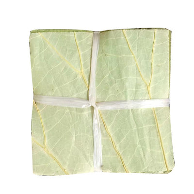 Lotus Root Leaves (50 pieces)